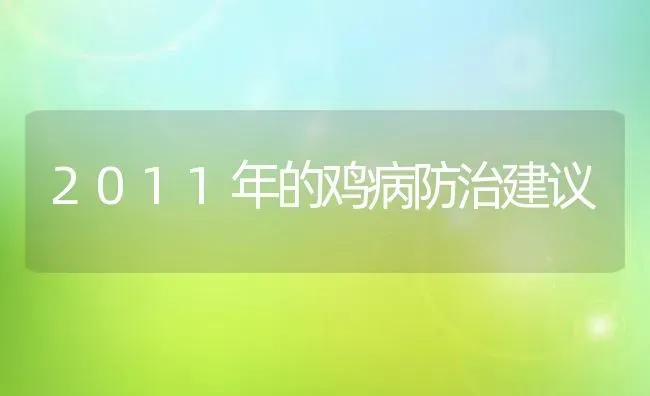 2011年的鸡病防治建议 | 家禽养殖