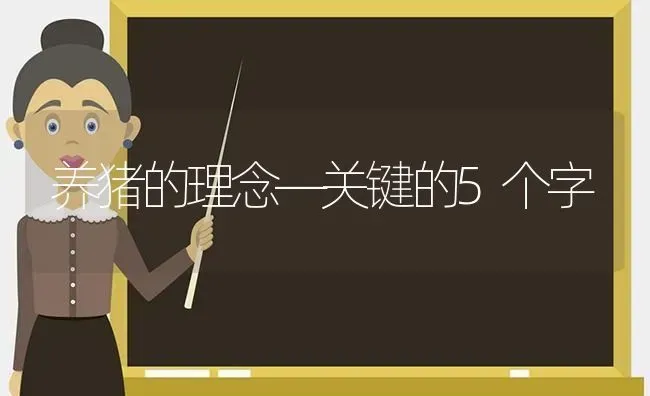 养猪的理念—关键的5个字 | 家畜养殖