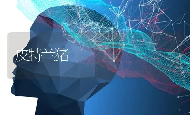 皮特兰猪 | 家畜养殖