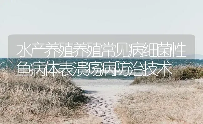 水产养殖养殖常见病细菌性鱼病体表溃疡病防治技术 | 养殖病虫害防治