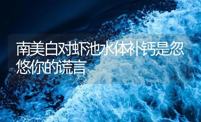 南美白对虾池水体补钙是忽悠你的谎言 | 海水养殖