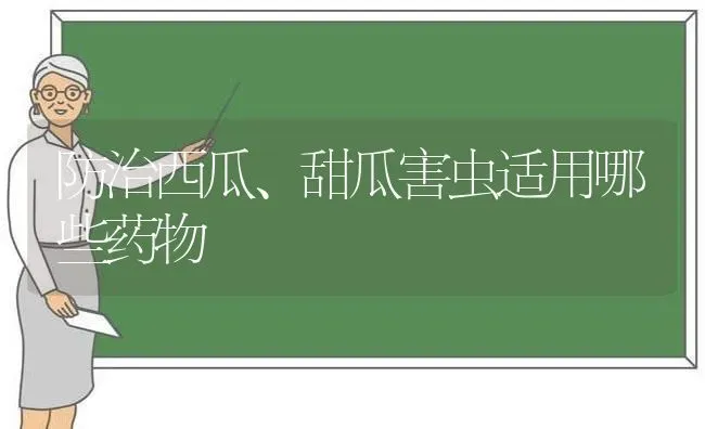 介绍几种低成本蛋白饲料 | 动物养殖饲料