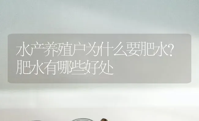 水产养殖户为什么要肥水？肥水有哪些好处 | 动物养殖百科