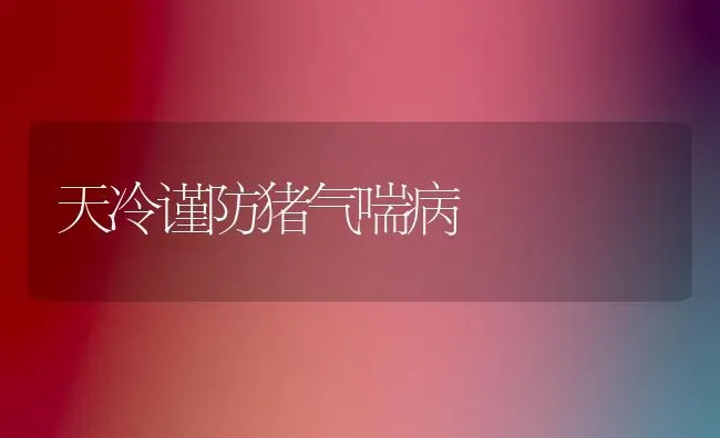 天冷谨防猪气喘病 | 家畜养殖