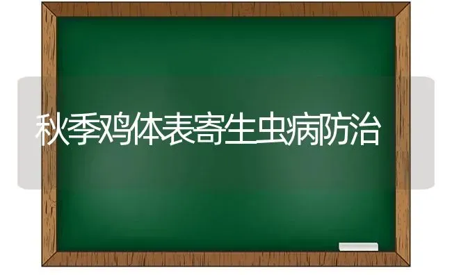 秋季鸡体表寄生虫病防治 | 家禽养殖