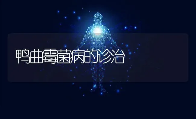 鸭曲霉菌病的诊治 | 家禽养殖