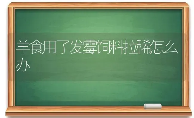 羊食用了发霉饲料拉稀怎么办 | 家畜养殖