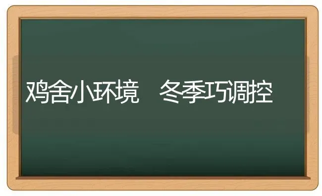 鸡舍小环境 冬季巧调控 | 家禽养殖