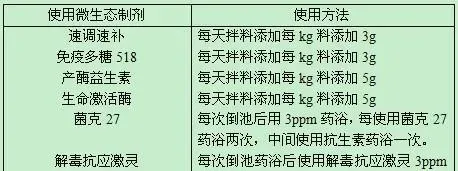 微生态制剂在刺参保苗生产中的试验研究