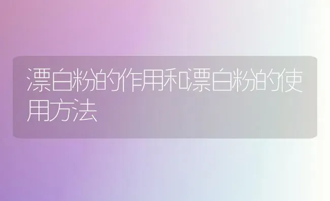 漂白粉的作用和漂白粉的使用方法 | 养殖病虫害防治