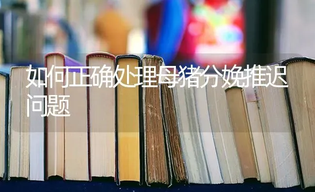 如何正确处理母猪分娩推迟问题 | 家畜养殖