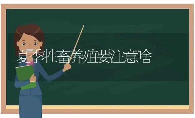 夏季牲畜养殖要注意啥 | 家畜养殖