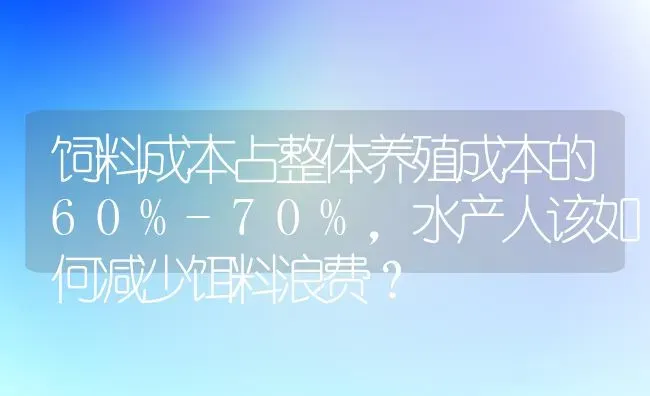 饲料成本占整体养殖成本的60%-70%，水产人该如何减少饵料浪费？ | 动物养殖饲料