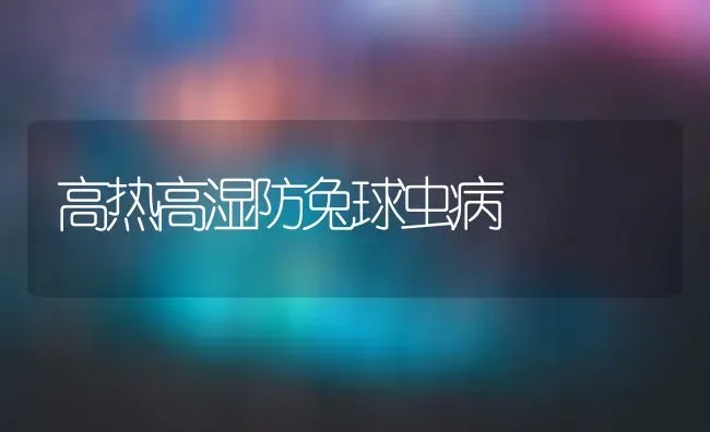 高热高湿防兔球虫病 | 家畜养殖