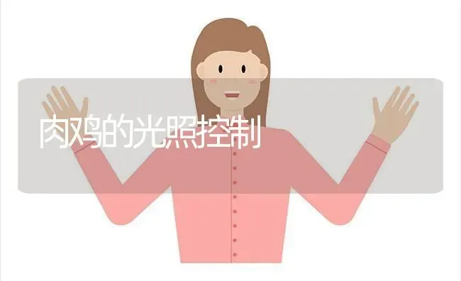 肉鸡的光照控制 | 家禽养殖