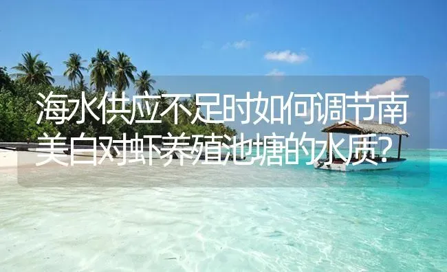 海水供应不足时如何调节南美白对虾养殖池塘的水质？ | 海水养殖