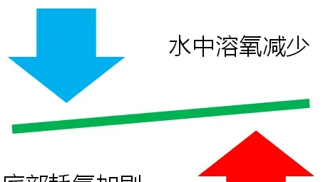 深度剖析高温期河蟹塘管理技术要点