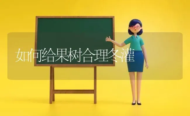 贵妃鸡饲养要点 | 家禽养殖