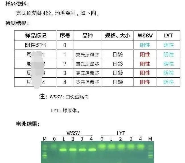 【小龙虾专题】秋分时节，小龙虾养殖管理建议