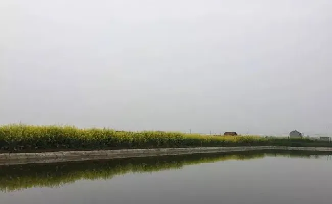 养殖户如何提高低温肥水的成功率？