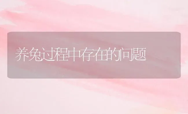 养兔过程中存在的问题 | 家畜养殖