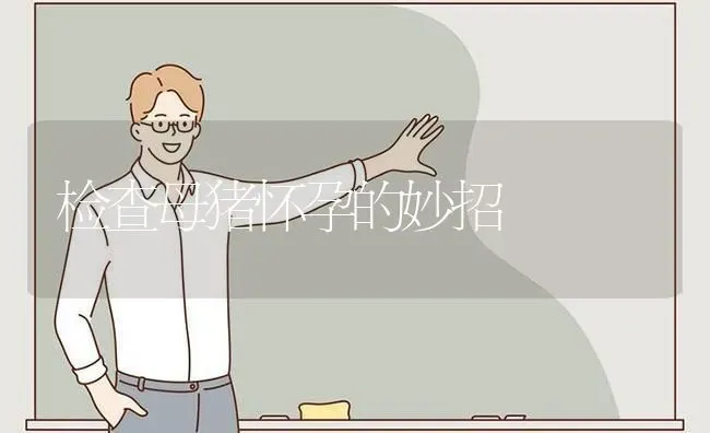 检查母猪怀孕的妙招 | 家畜养殖