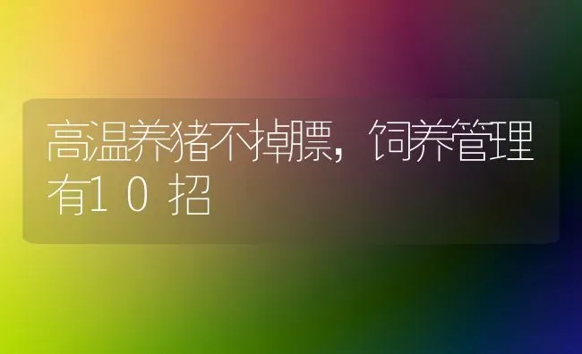 高温养猪不掉膘，饲养管理有10招 | 家畜养殖