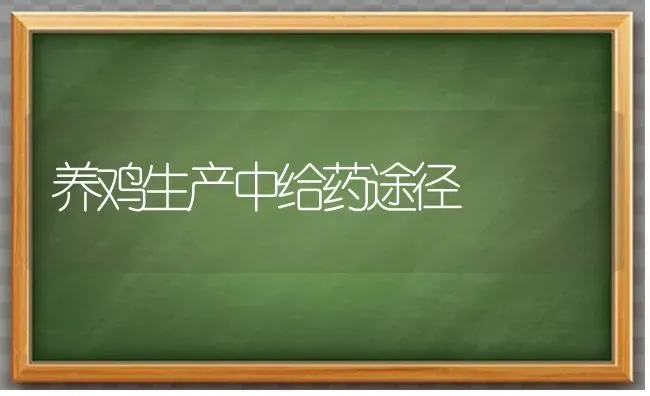 养鸡生产中给药途径 | 养殖病虫害防治