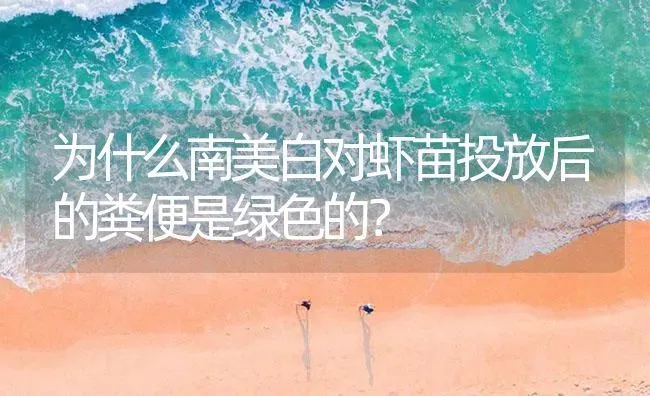 为什么南美白对虾苗投放后的粪便是绿色的？ | 海水养殖