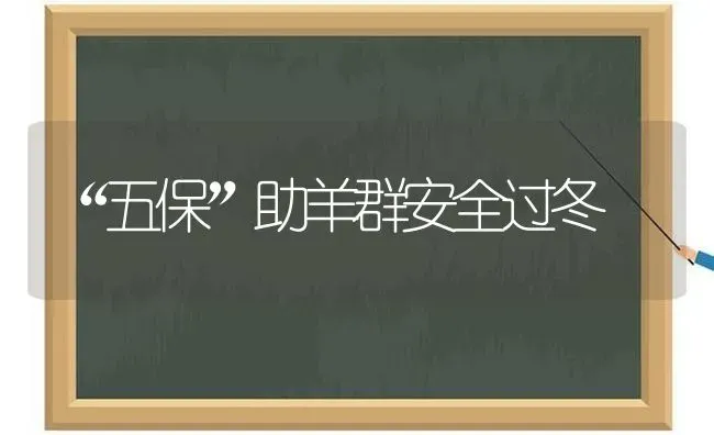 “五保”助羊群安全过冬 | 家畜养殖