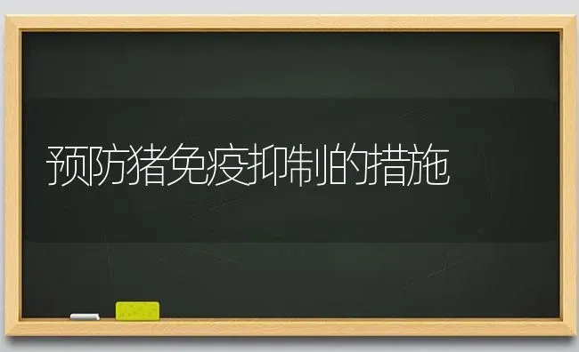 预防猪免疫抑制的措施 | 家畜养殖