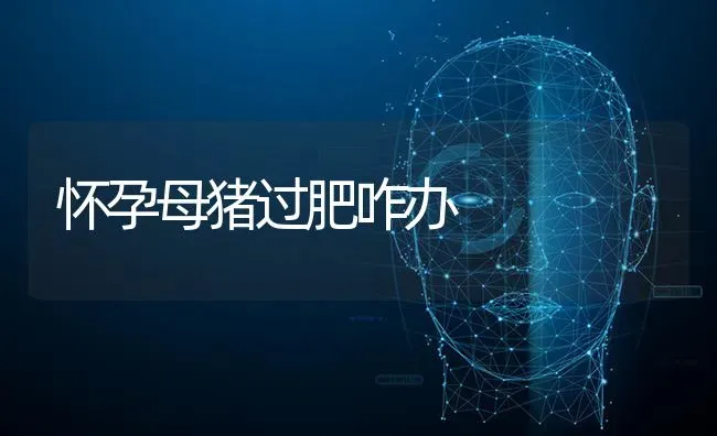 怀孕母猪过肥咋办 | 家畜养殖