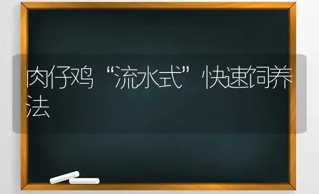 巧喂饲料防畜禽中暑 | 动物养殖饲料