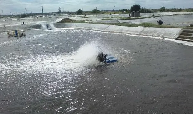 关注水体营养平衡，避免水体富营养化