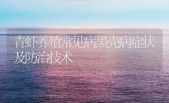 青虾养殖常见病黑壳病症状及防治技术 | 海水养殖
