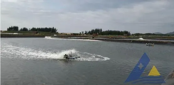 高位池水面大量泡沫的处理
