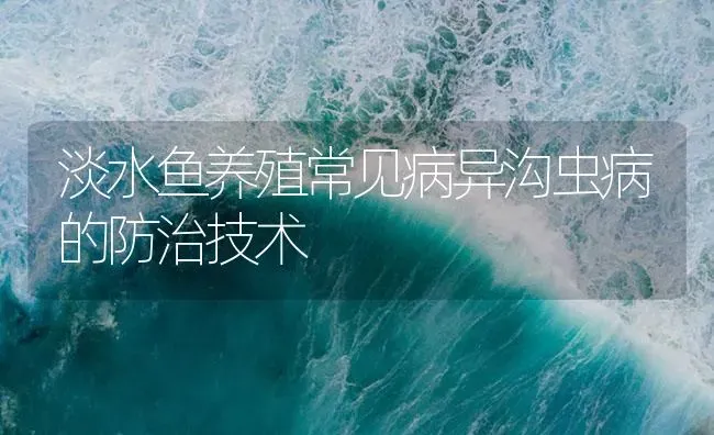 淡水鱼养殖常见病异沟虫病的防治技术 | 养殖病虫害防治