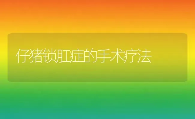 仔猪锁肛症的手术疗法 | 家畜养殖