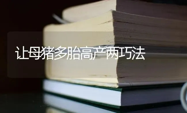 让母猪多胎高产两巧法 | 家畜养殖