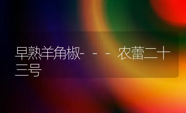 早熟羊角椒---农蕾二十三号 | 家畜养殖