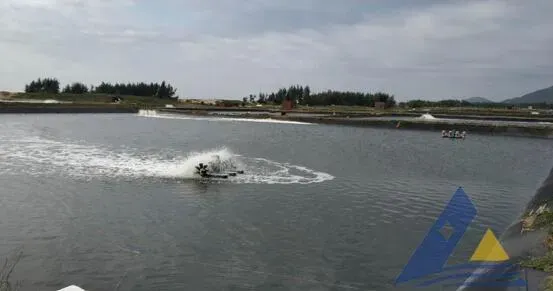 高位池水面大量泡沫的处理