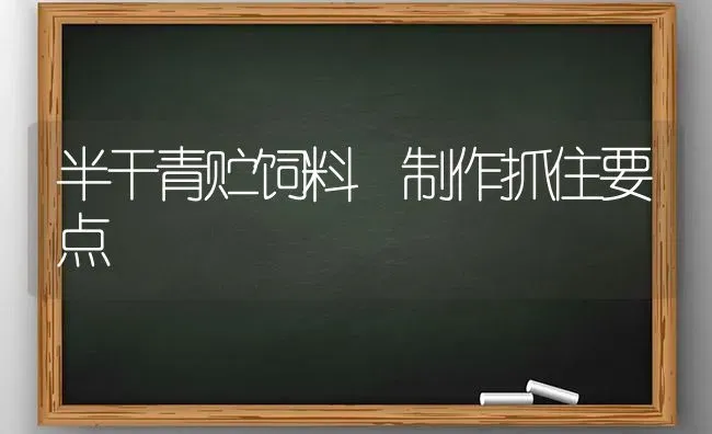 半干青贮饲料 制作抓住要点 | 动物养殖饲料