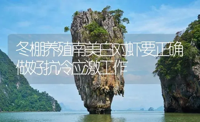 冬棚养殖南美白对虾要正确做好抗冷应激工作 | 海水养殖