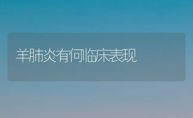 羊肺炎有何临床表现 | 家畜养殖
