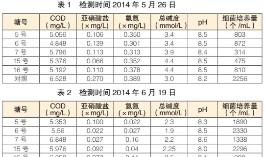 南美白对虾塘养殖环境生物调控技术的应用