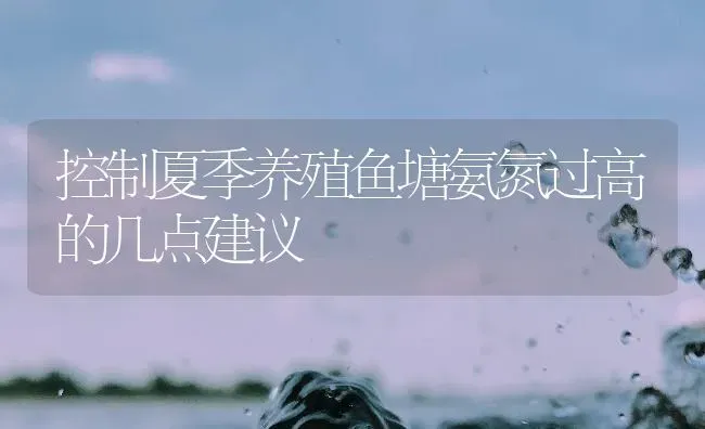 控制夏季养殖鱼塘氨氮过高的几点建议 | 动物养殖百科