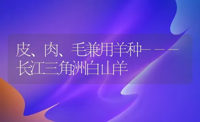 皮、肉、毛兼用羊种---长江三角洲白山羊 | 家畜养殖