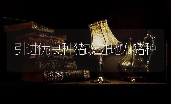 引进优良种猪改进地方猪种 | 家畜养殖
