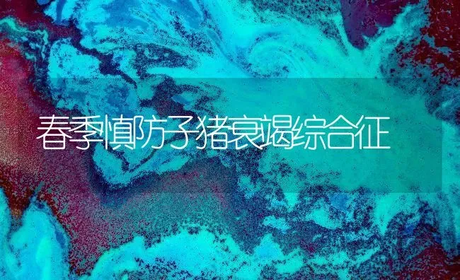 春季慎防子猪衰竭综合征 | 家畜养殖