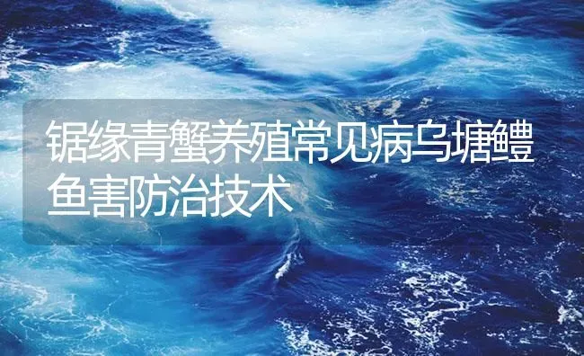 锯缘青蟹养殖常见病乌塘鳢鱼害防治技术 | 海水养殖